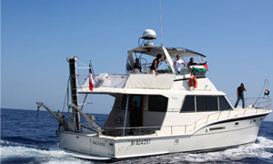 O “Dignité al-Karama”