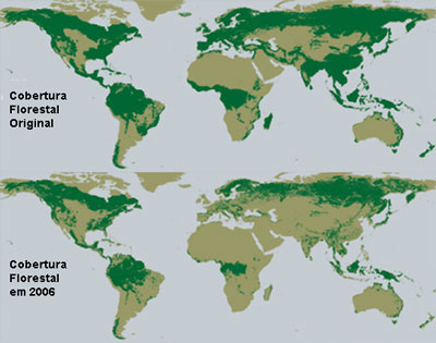 A desflorestação a nível mundial