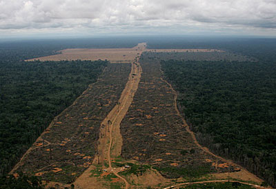 Desflorestação na Amazónia