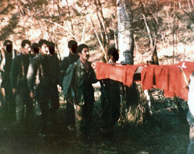 Insurreição de Amol