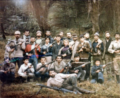 Insurreição de Amol