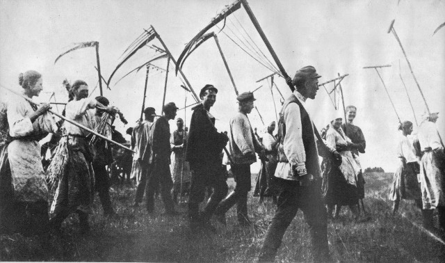 Novas quintas coletivas